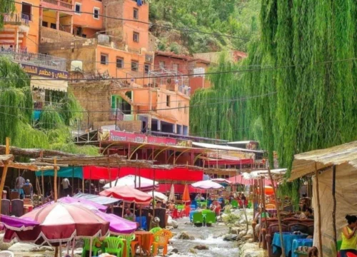 Day Trip To Ourika Valley