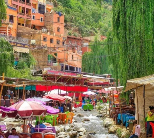 Day Trip To Ourika Valley