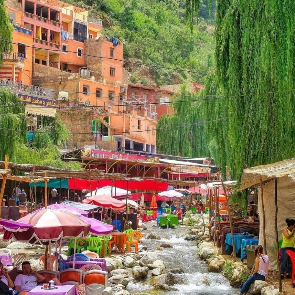 Day Trip To Ourika Valley