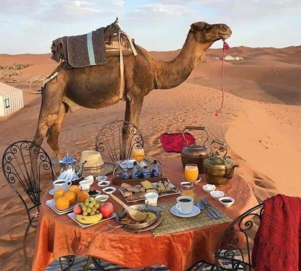 3 Day Merzouga Desert Tour